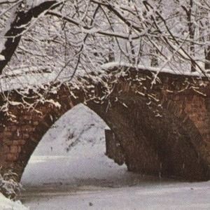 Meet your Posher, Gene